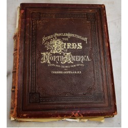 Studer's Popular Ornithology. The Birds of North America